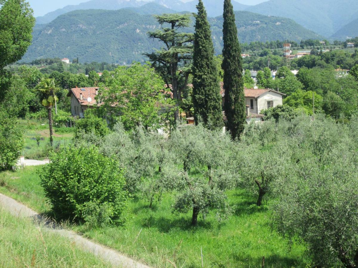 Agriturismo Bonu Gabriele ซาโล ภายนอก รูปภาพ